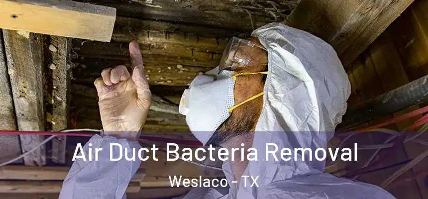  Air Duct Bacteria Removal Weslaco - TX