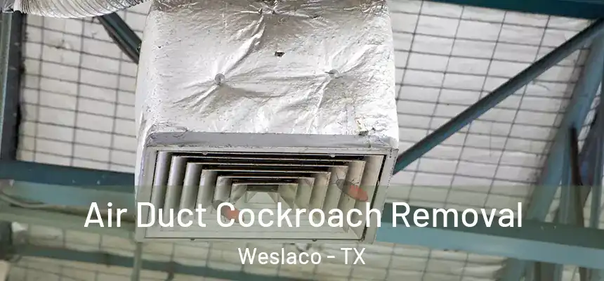  Air Duct Cockroach Removal Weslaco - TX