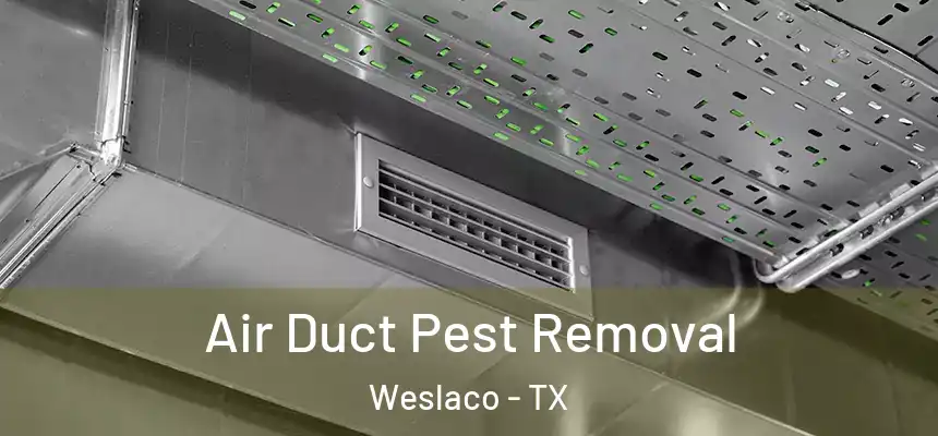 Air Duct Pest Removal Weslaco - TX