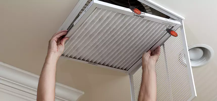 Preventive Cockroach-Proofing for Ducts in Weslaco