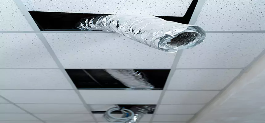 Our Air Duct Pet Hair Removal Services in Weslaco, TX