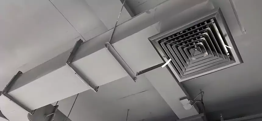 Restorative Allergy Relief Vent Cleaning – Coil, Blower & Housing Detail in Weslaco