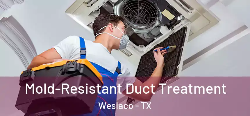  Mold-Resistant Duct Treatment Weslaco - TX
