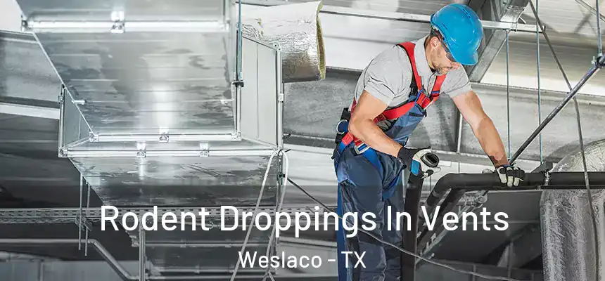  Rodent Droppings In Vents Weslaco - TX
