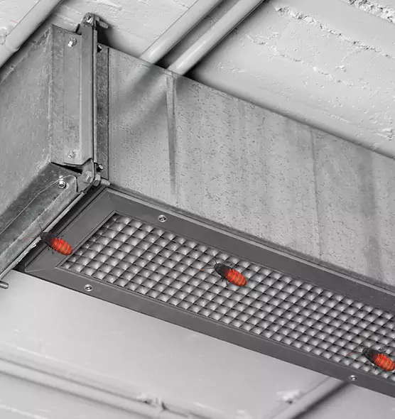 About Air Duct Cockroach Removal in Weslaco, TX