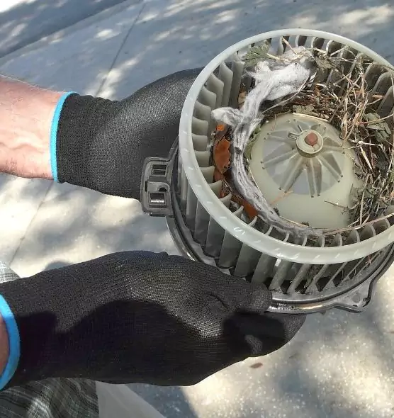 About Air Duct Mice Removal in Weslaco, TX