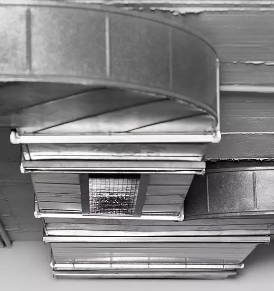 Professional Air Duct Pest Removal in Weslaco, TX