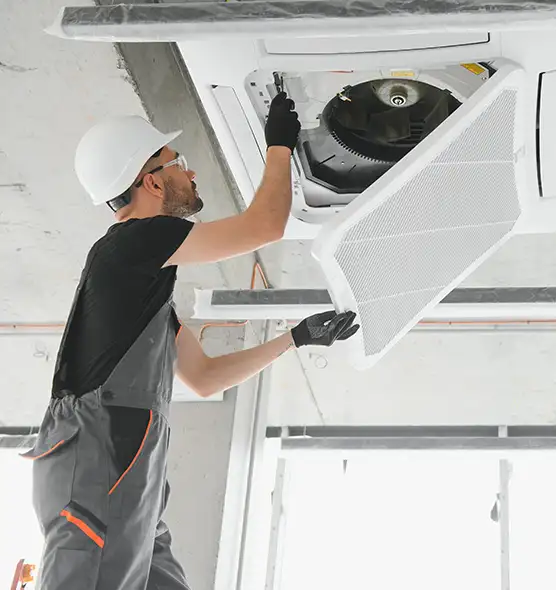 About Air Duct Rodent Removal in Weslaco, TX