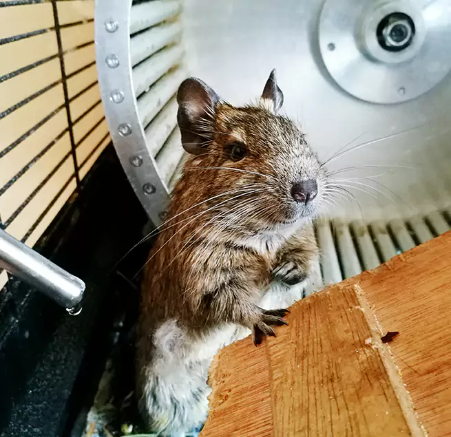 Why Homeowners & Businesses Trust Us Weslaco, TX?